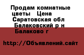 Продам комнатные цветы › Цена ­ 320 - Саратовская обл., Балаковский р-н, Балаково г.  »    